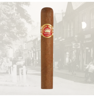 H. Upmann Connoisseur No. 1 - Single Cigar