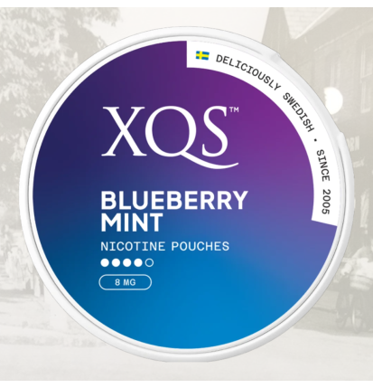 XQS Blueberry Mint 8mg