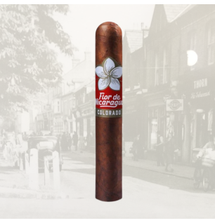 Joya de Nicaragua Flor De Nicaragua Robusto Single Cigar